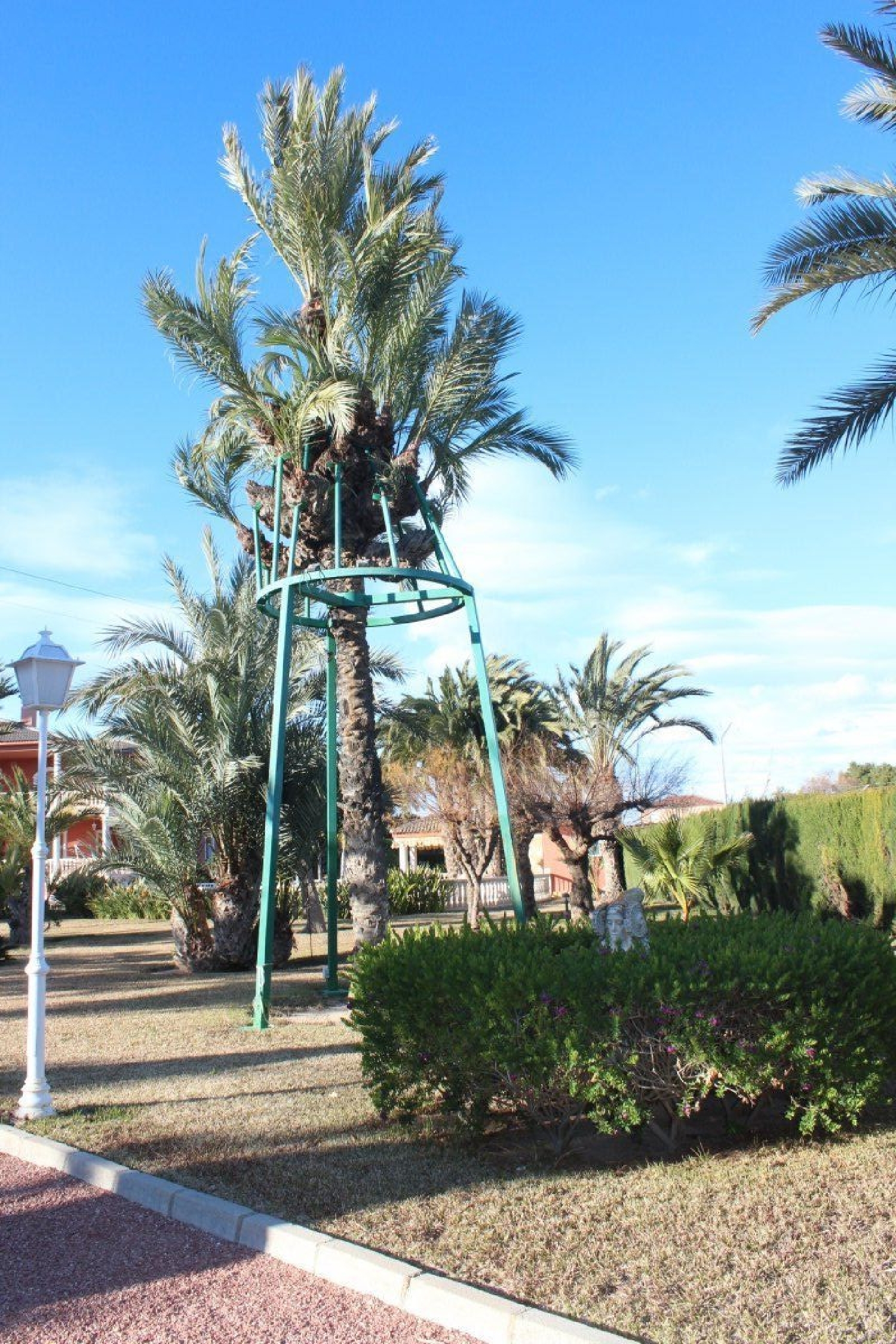  till salu villa Las Lomas Baix Vinalopó 7