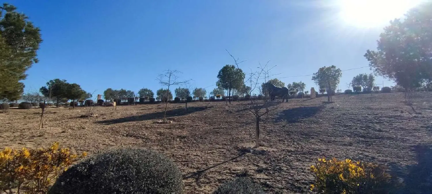  till salu villa Virgen Del Remedio-Parque Lo Morant Alacantí 18