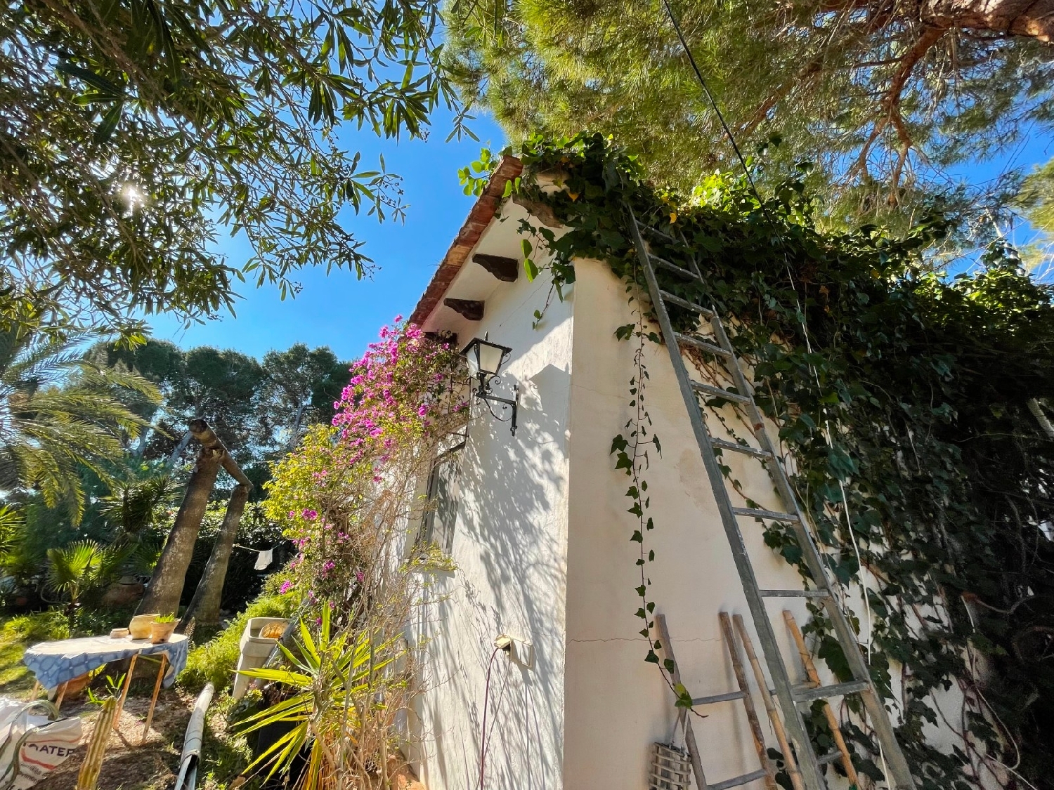  till salu villa Las Mimosas Baix Segura 4