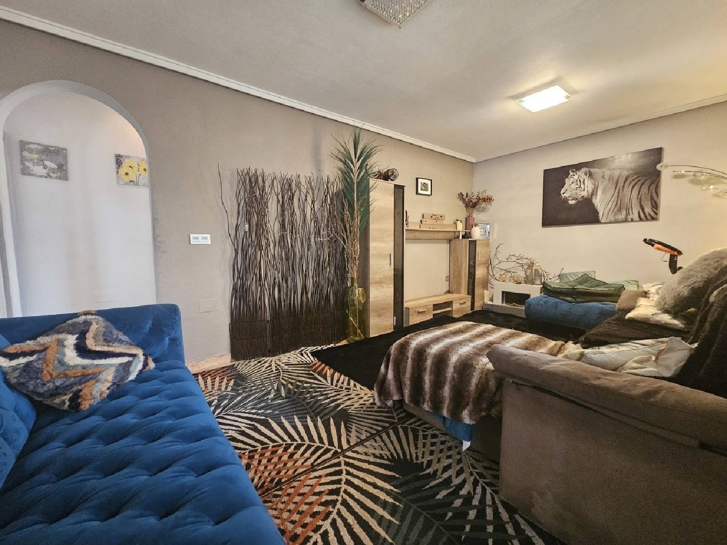  till salu villa Las Ramblas Baix Segura 6
