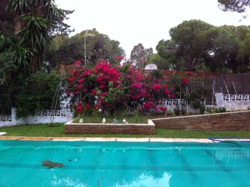 Las Veguetas Bahía De Cádiz villa foto 6220861