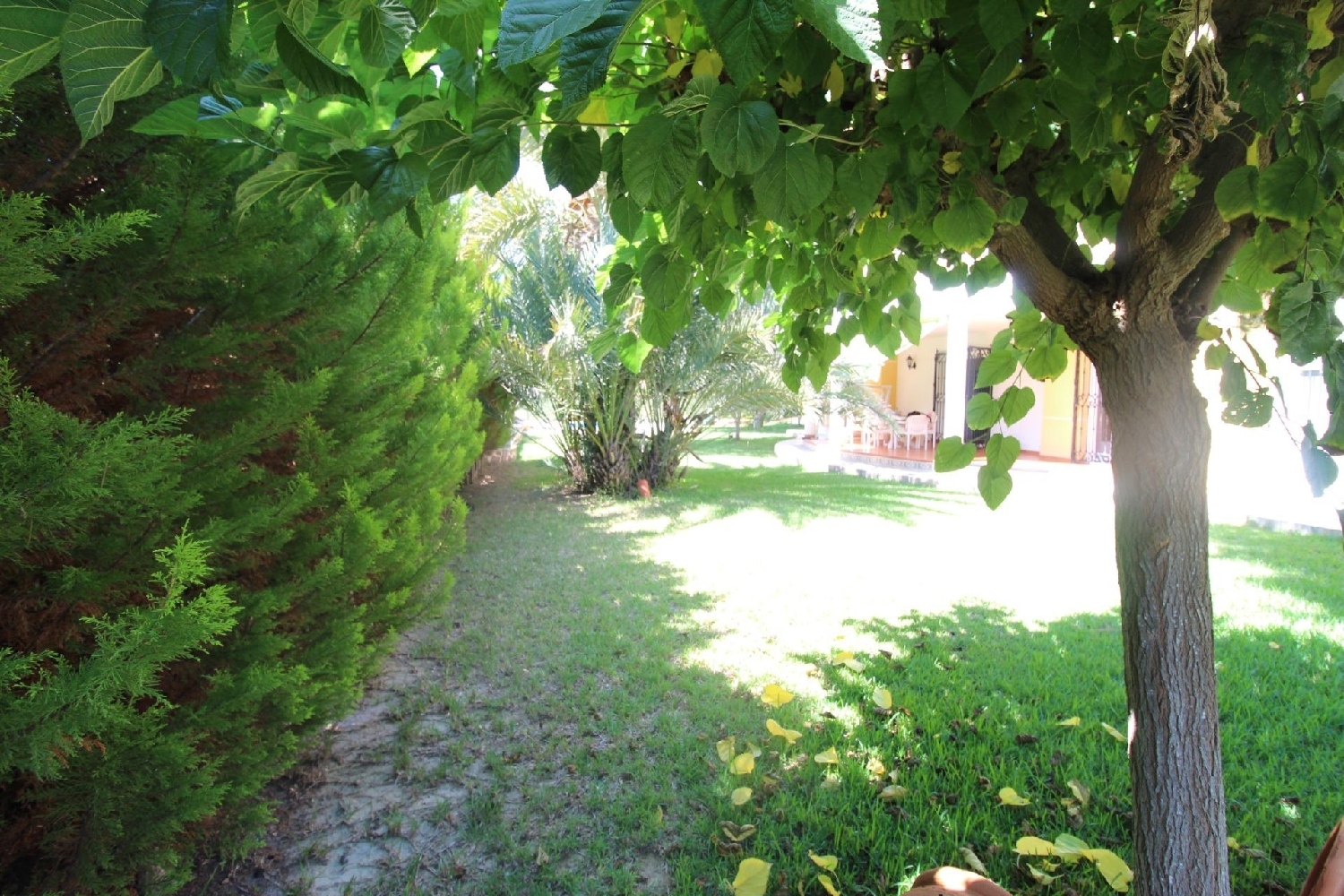  till salu villa Les Penyetes Alacantí 4