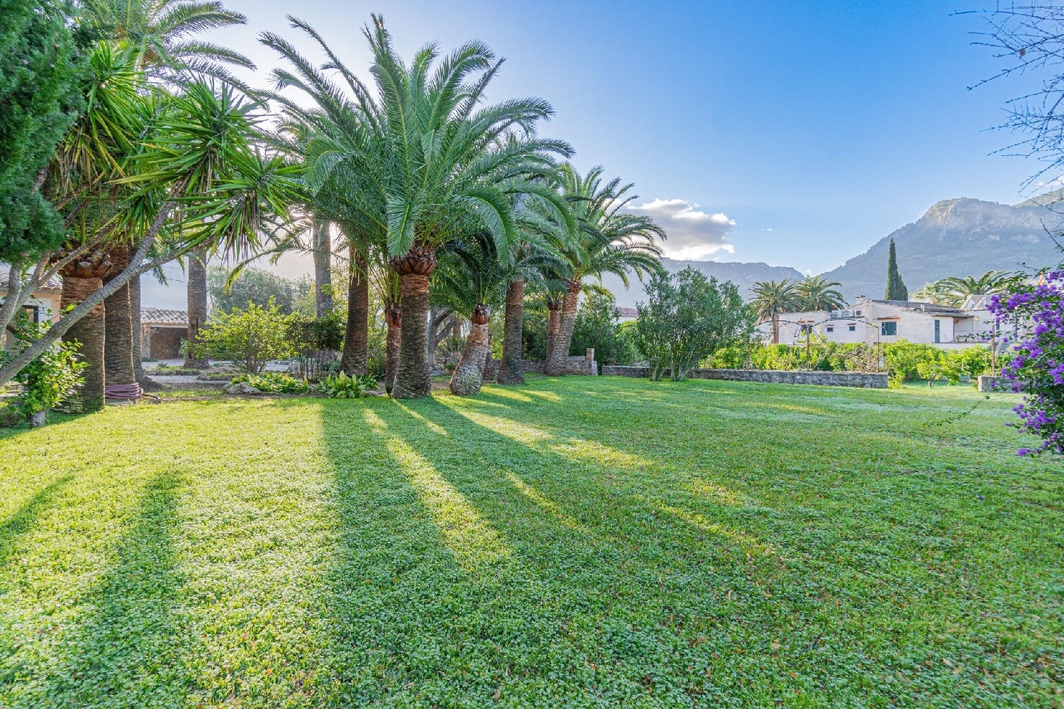  for sale villa L'horta Tramuntana 6