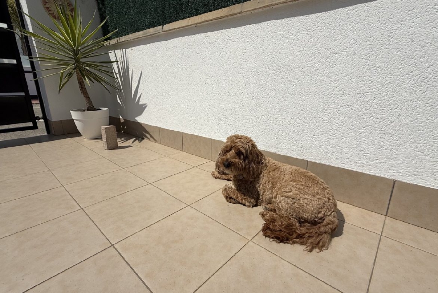  till salu villa Lo Gea Huerta De Murcia 6