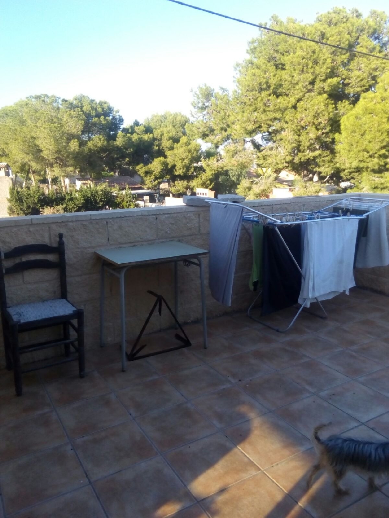  till salu villa Bon Any Alacantí 6