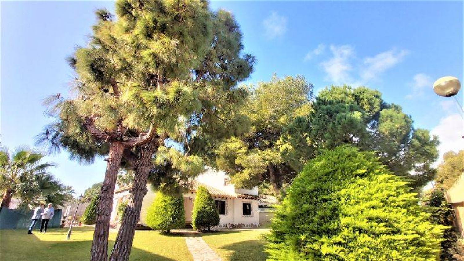 till salu villa Los Dolses Baix Segura 4