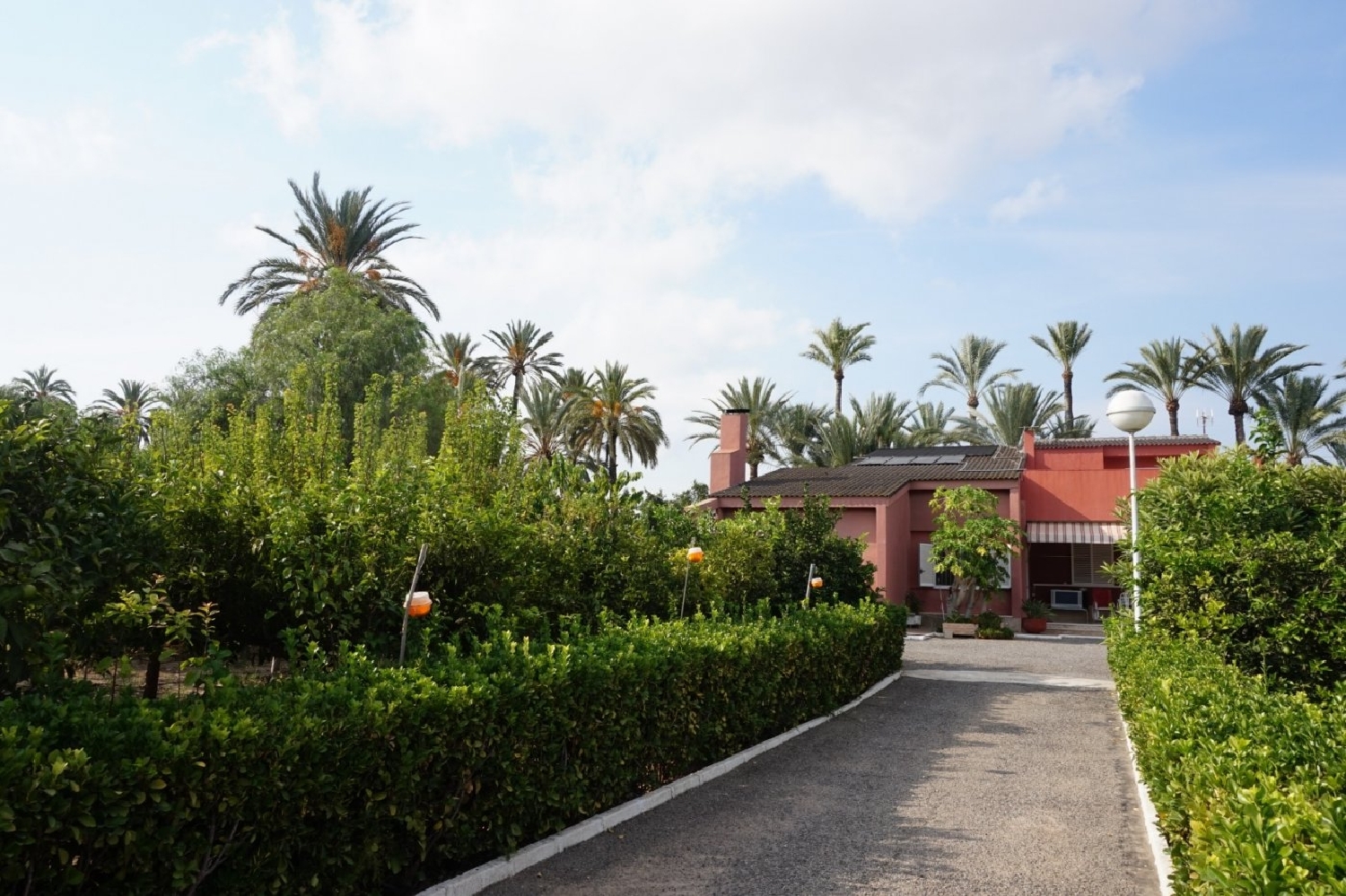 till salu villa Los Limoneros Baix Vinalopó 2