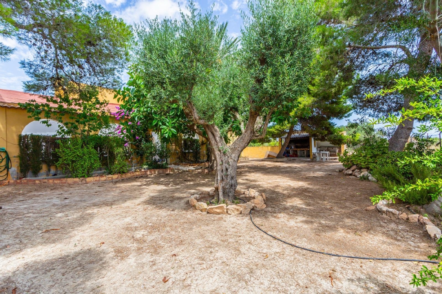  till salu villa Los Montesinos Baix Segura 5