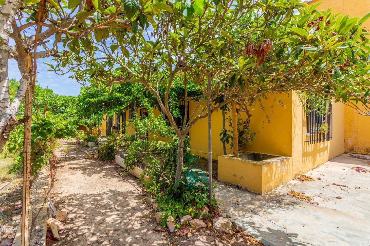 till salu villa Los Montesinos Baix Segura 4