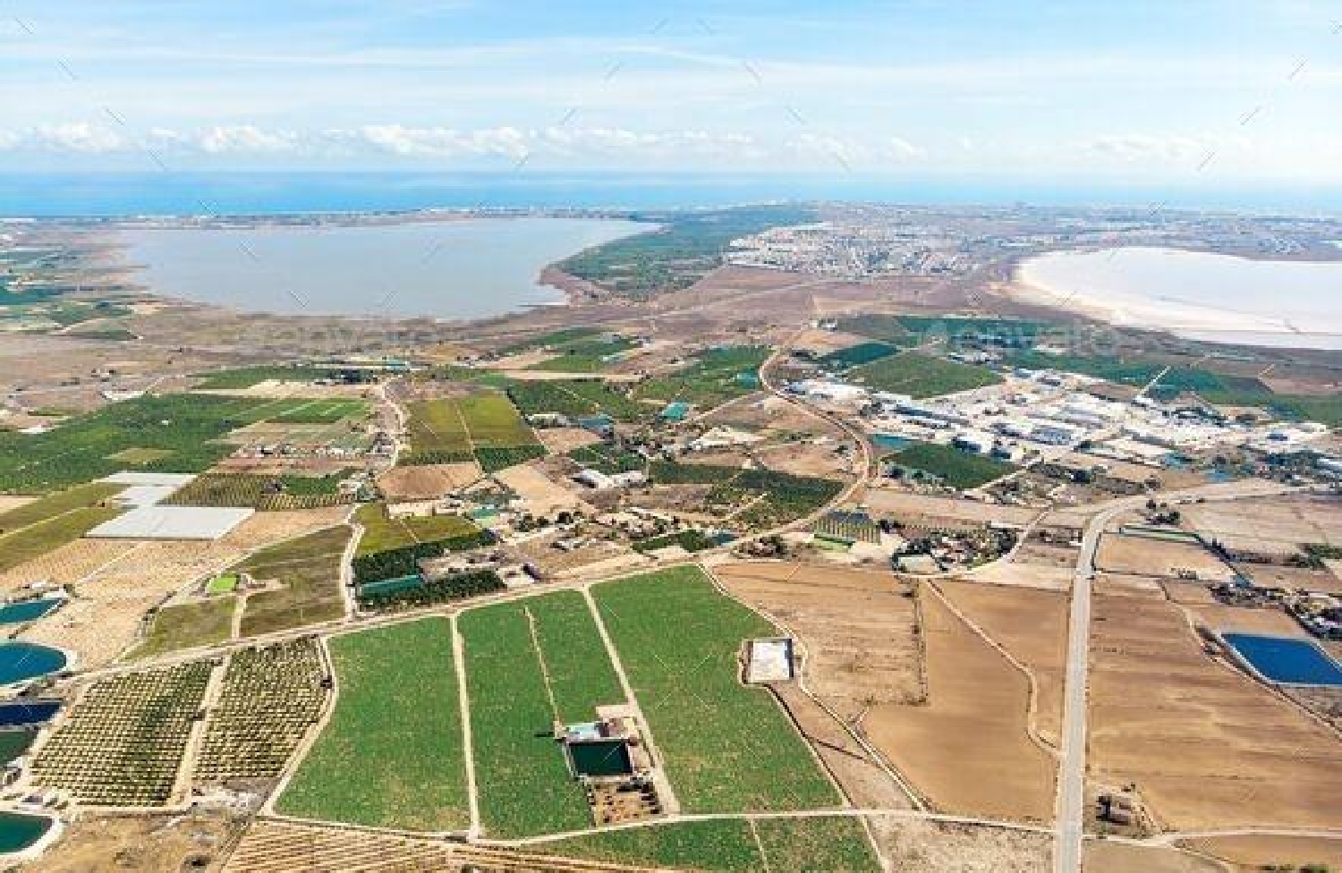  till salu villa Los Montesinos Baix Segura 14