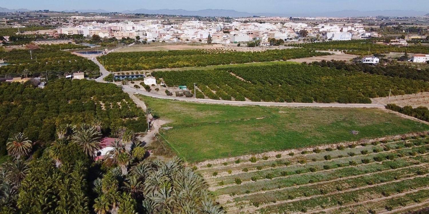  till salu villa Los Montesinos Baix Segura 15
