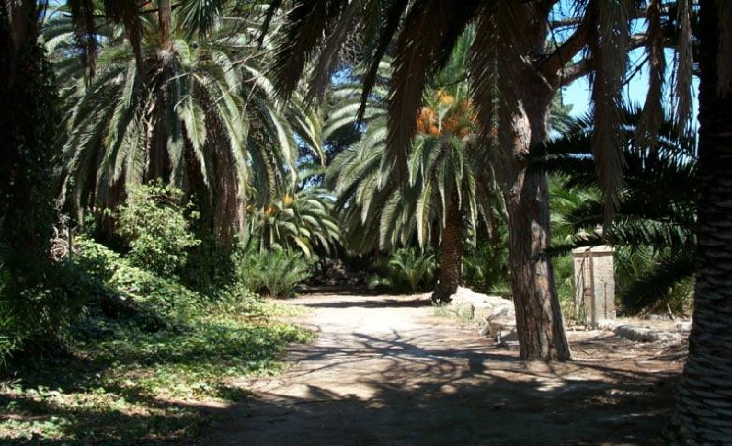  till salu villa Los Montesinos Baix Segura 19