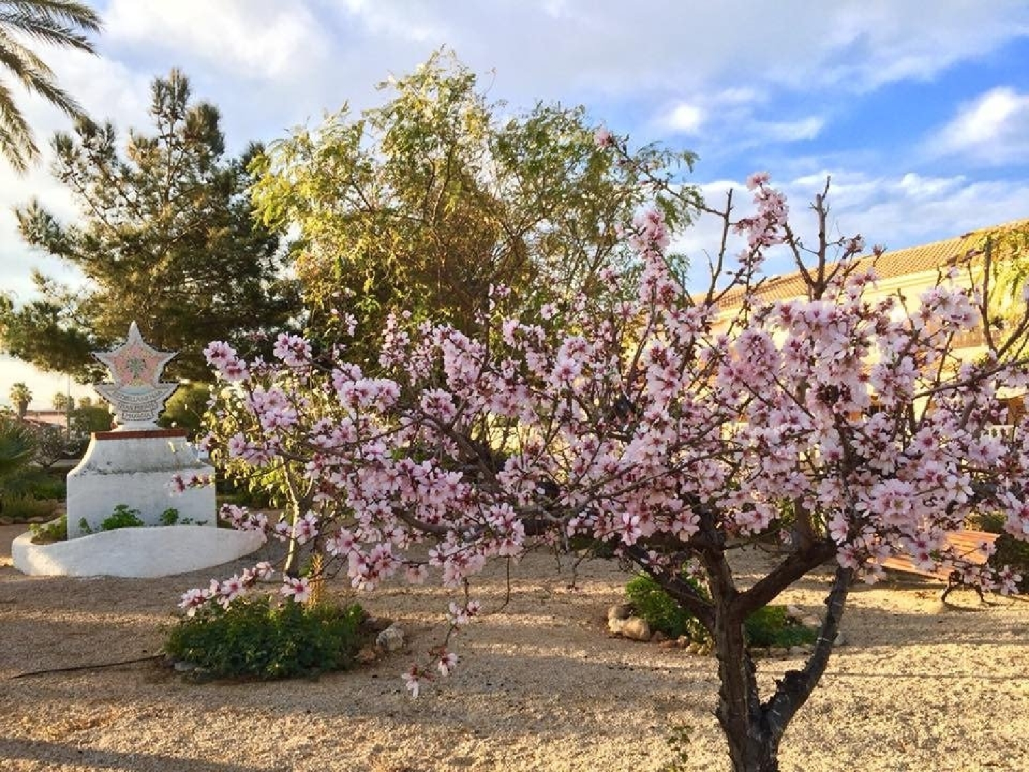  till salu villa Los Urrutias Campo De Cartagena 29