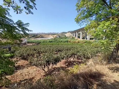 Casares Costa Costa Del Sol Occidental villa foto 6198252