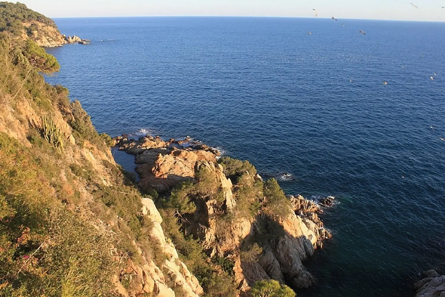 till salu villa Serra Brava Selva 2