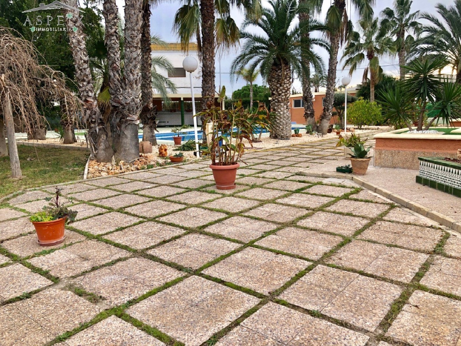 till salu villa Matola Baix Vinalopó 5
