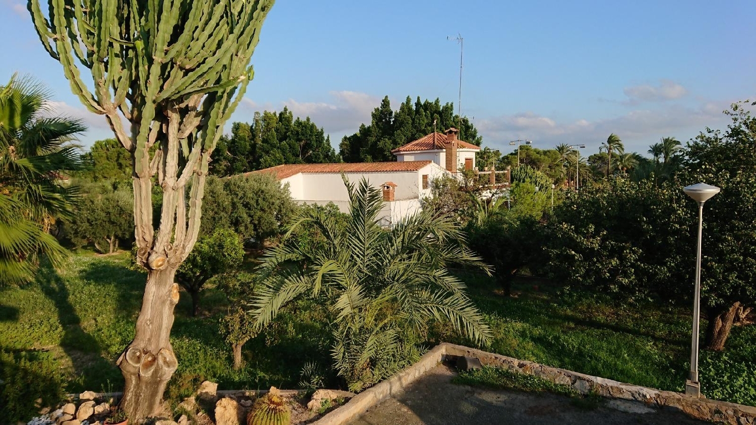  till salu villa Matola Baix Vinalopó 7