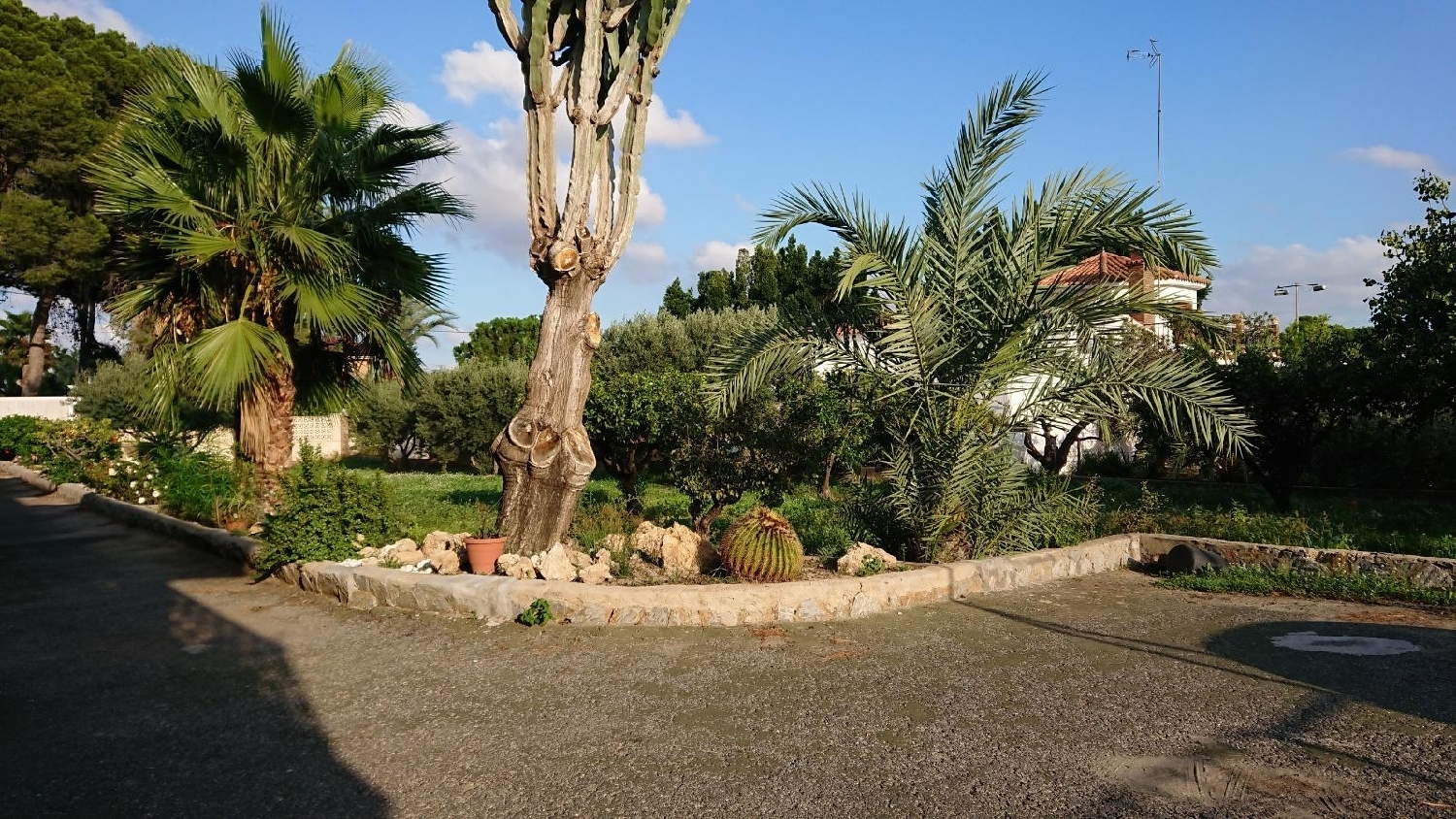  till salu villa Matola Baix Vinalopó 8
