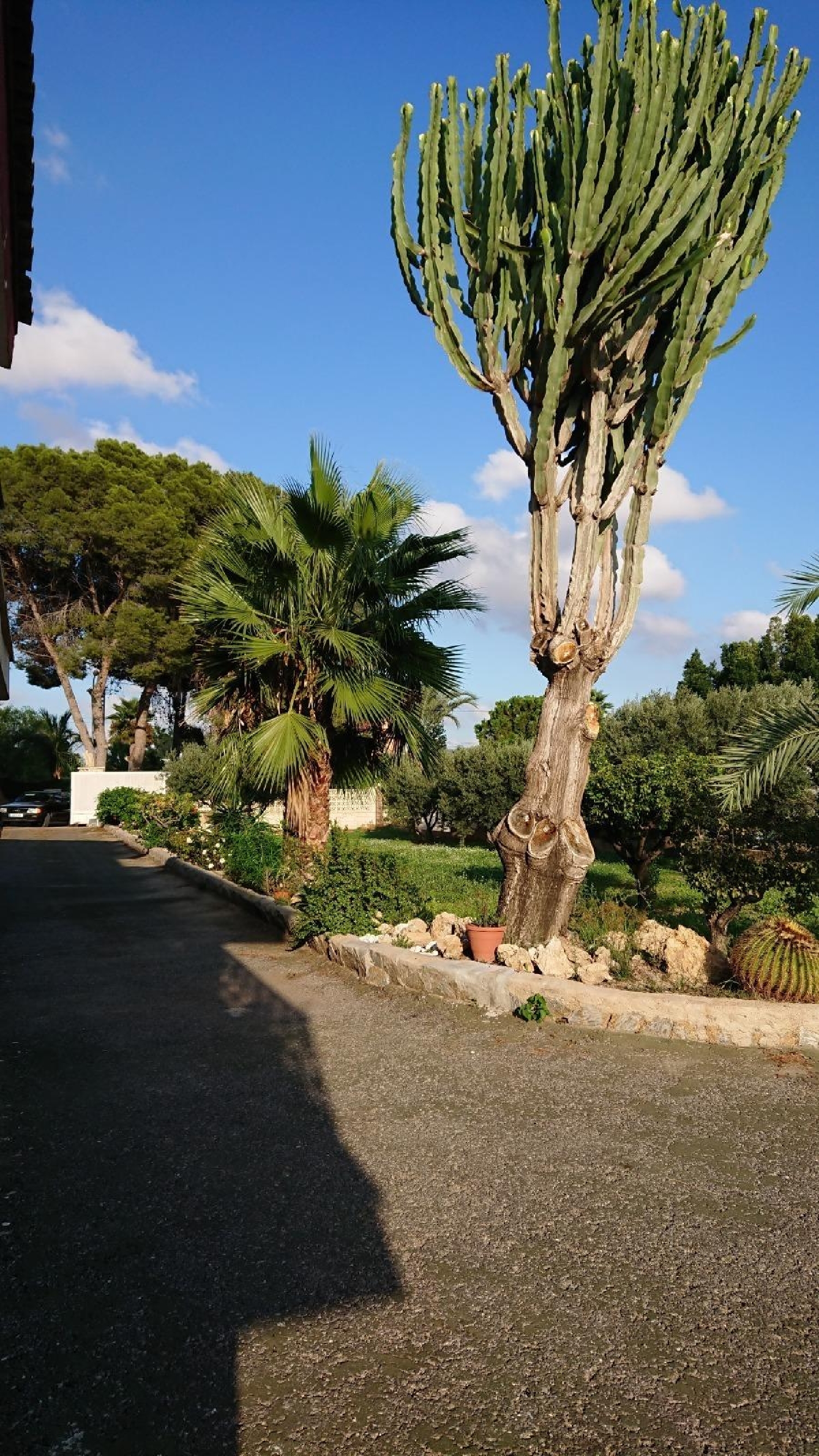 till salu villa Matola Baix Vinalopó 2