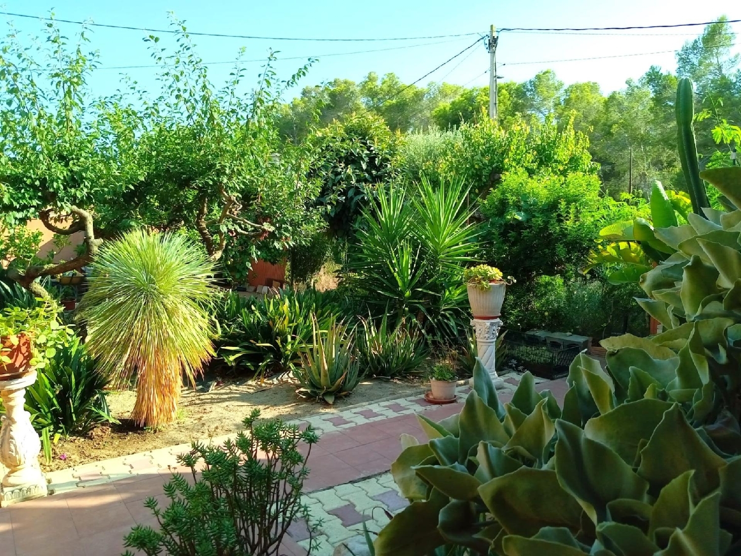  till salu villa Maynou Baix Camp 7