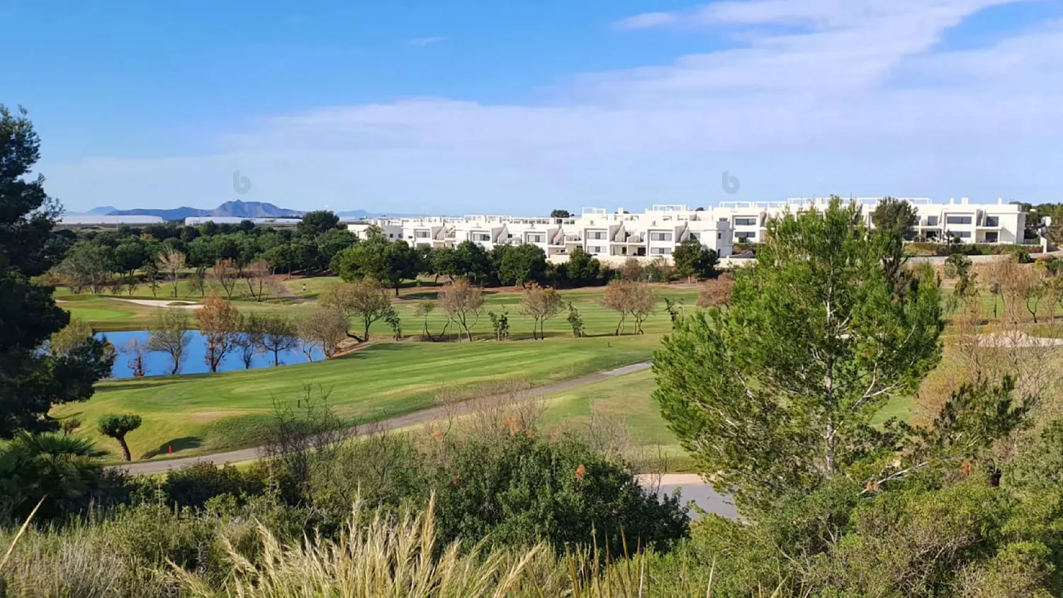  till salu villa Mil Palmeras Baix Segura 2