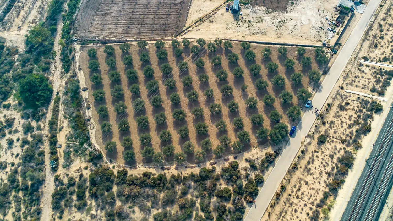  till salu villa Monforte Del Cid Vinalopó Mitjà 3