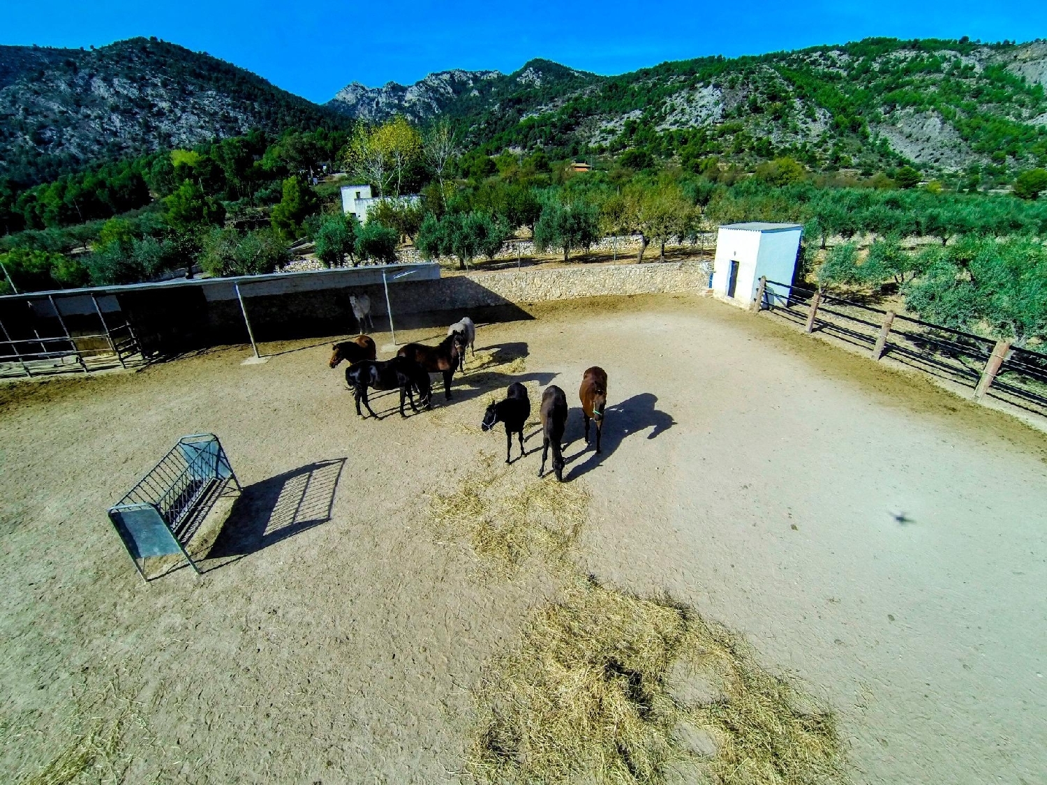  till salu villa Muro De Alcoy Comtat 7