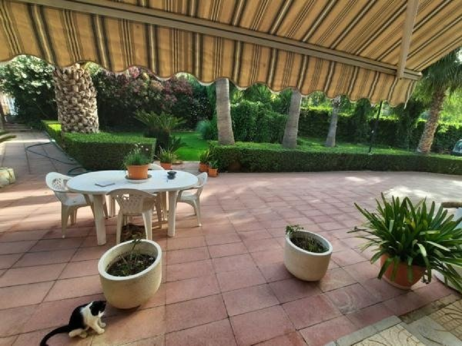  till salu villa La Estacion Vinalopó Mitjà 5
