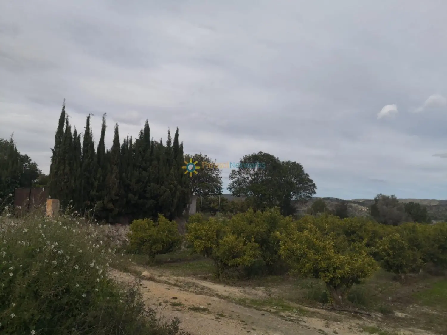  till salu villa Platja D'oliva Safor 1