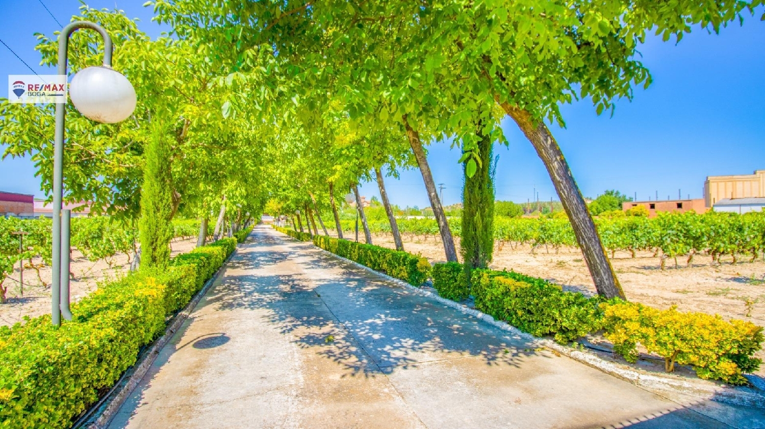 till salu villa Oyon-Oion Laguardia-Rioja Alavesa 3