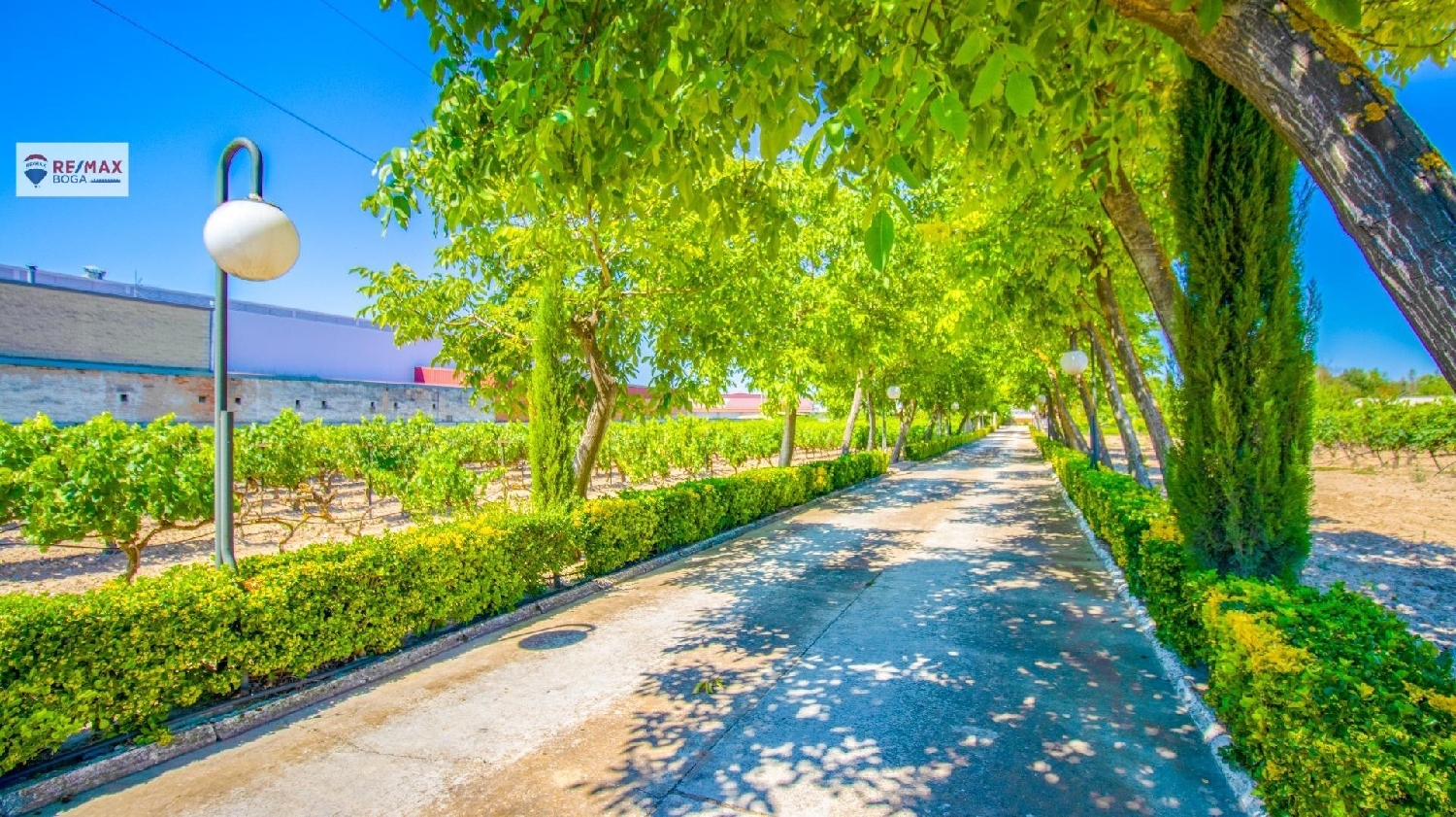  till salu villa Oyon-Oion Laguardia-Rioja Alavesa 1