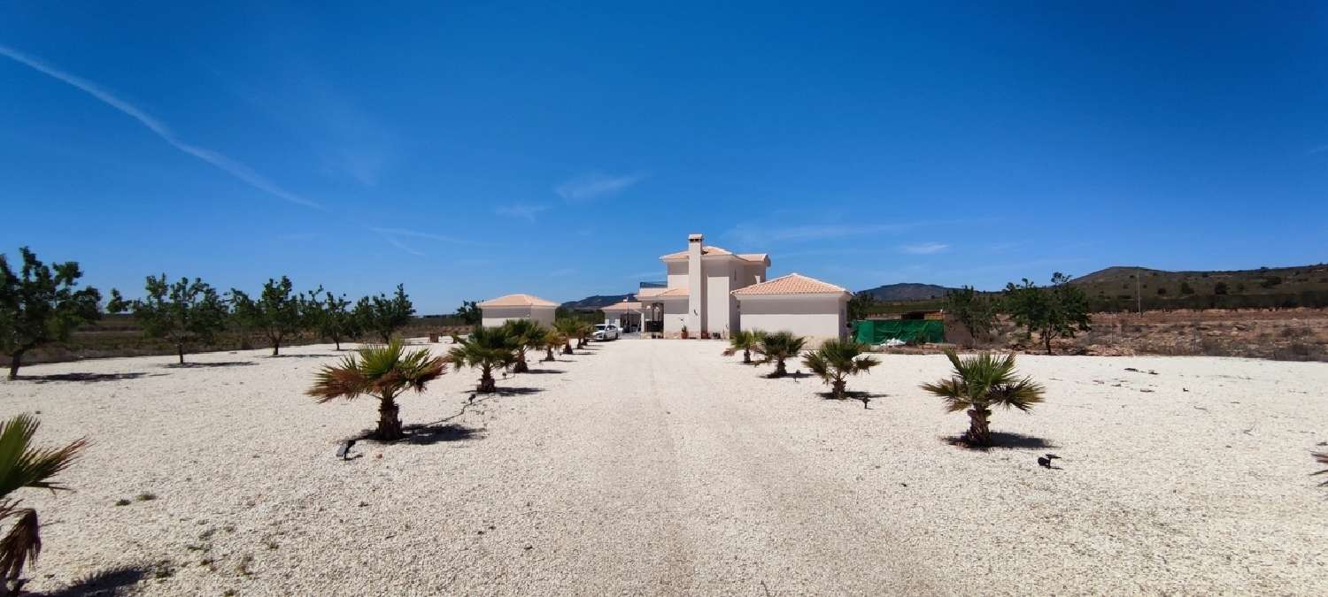  till salu villa Paredón Vinalopó Mitjà 8