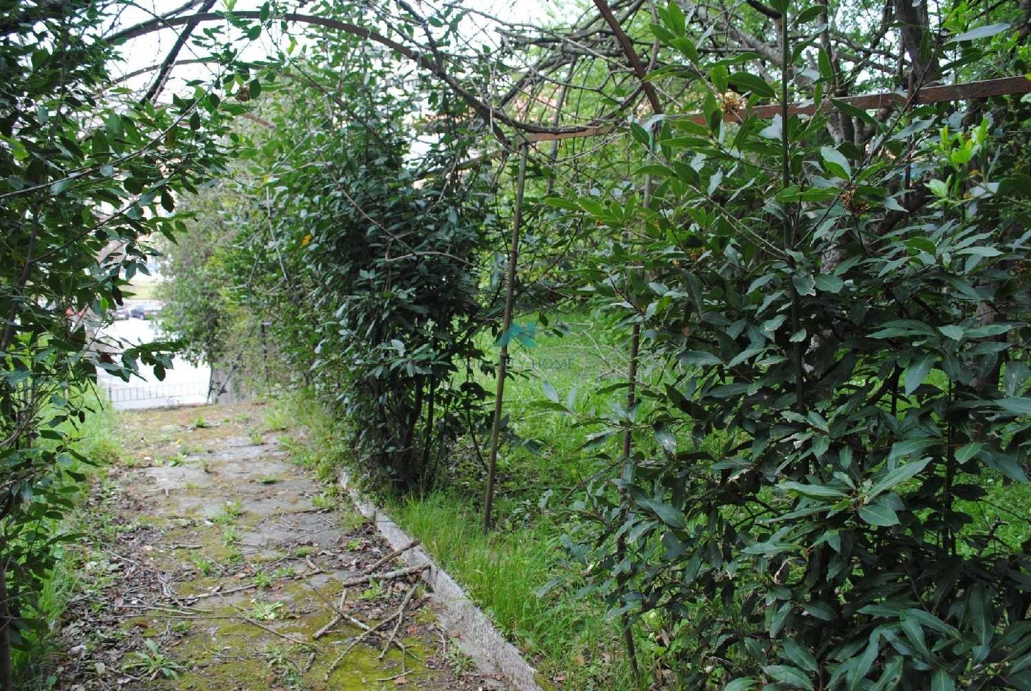  till salu villa Peñaflor Asón-Agüera 8