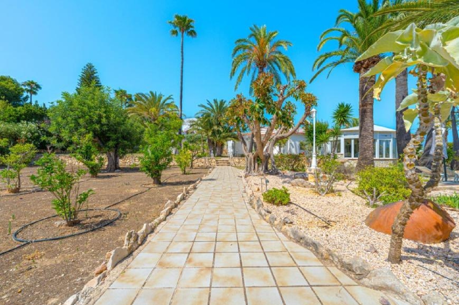  till salu villa Pinar De Campoverde Baix Segura 4
