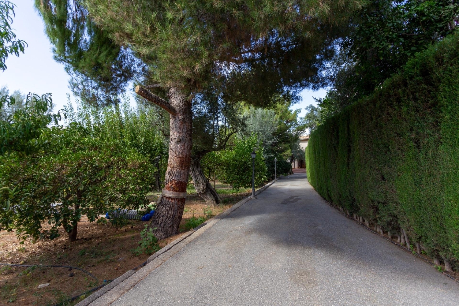 kaufen Villa Saleres Valle De Lecrín 3