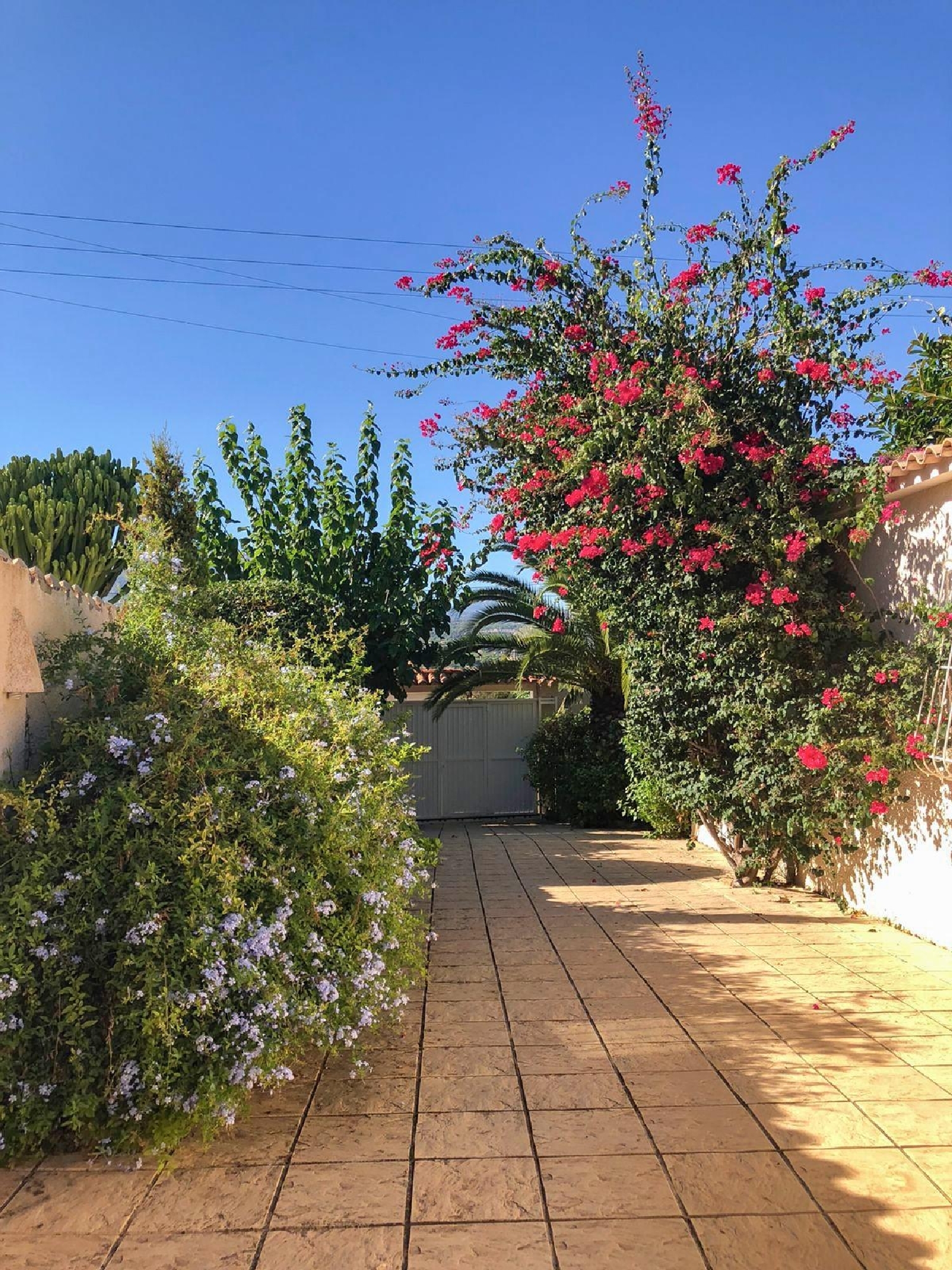  till salu villa Pla Parcial Platja Marina Baixa 8