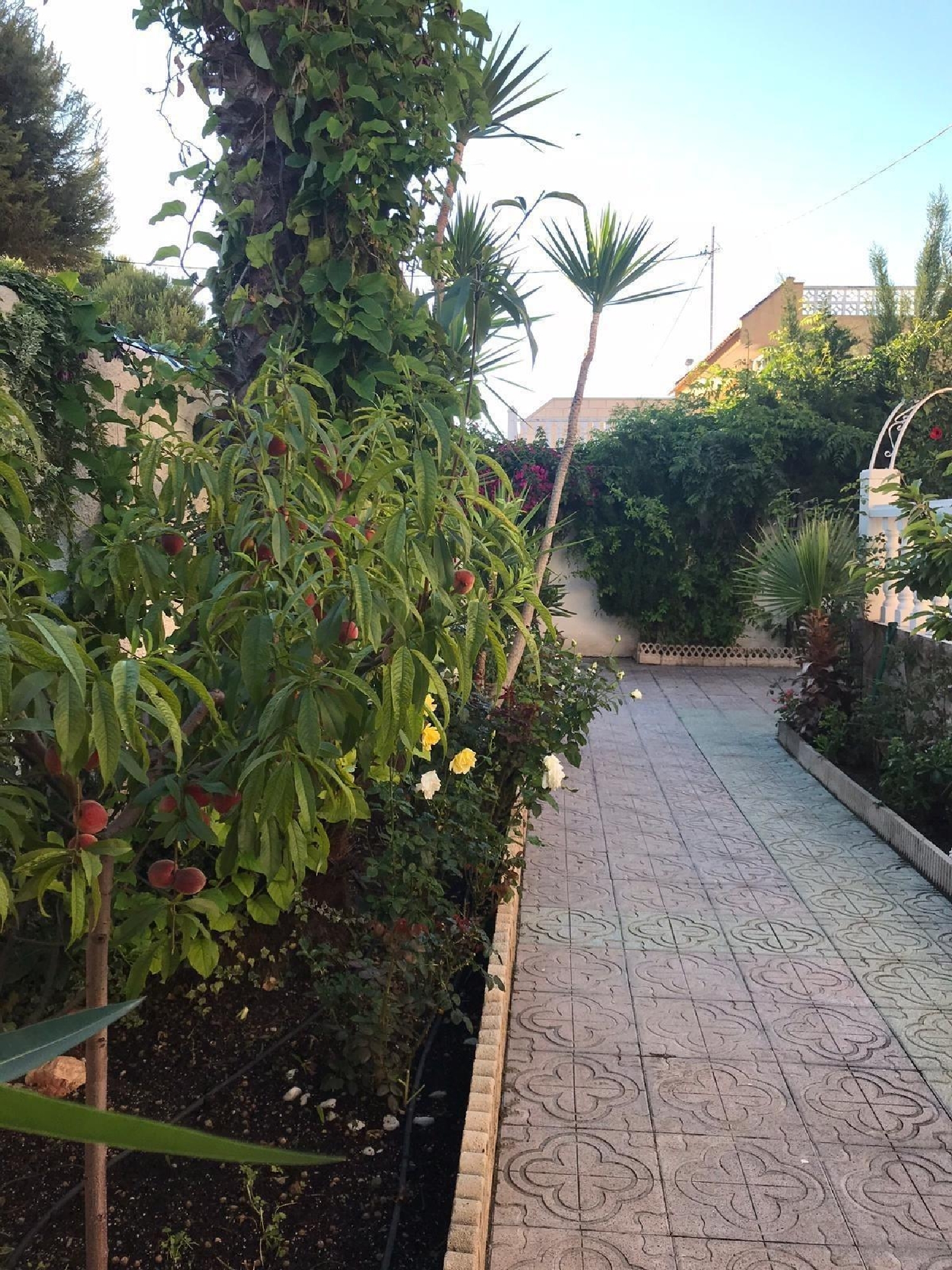  till salu villa Playa De Los Locos-Aguas Nuevas-Torreblanca Baix Segura 11
