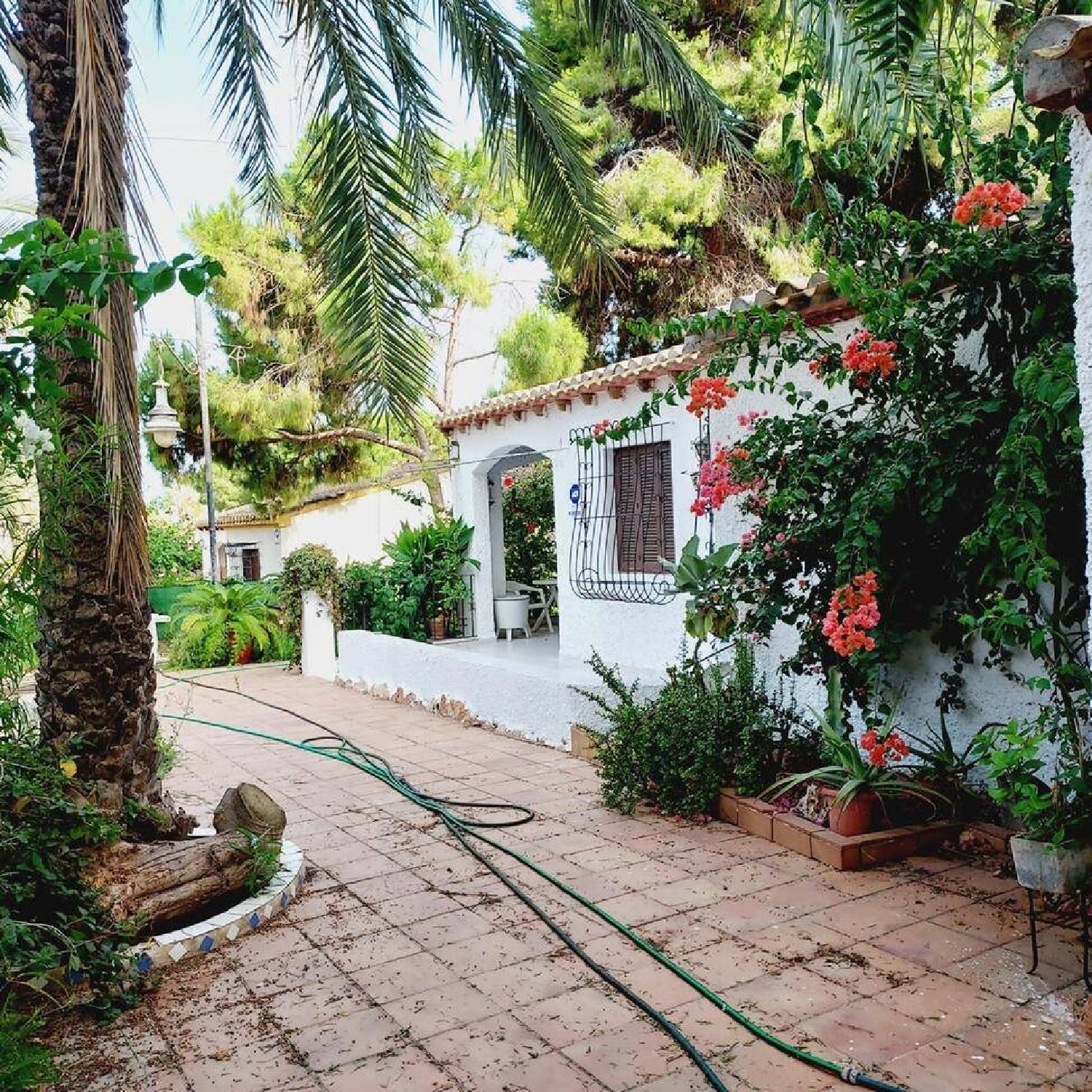  till salu villa Playa Flamenca Baix Segura 2