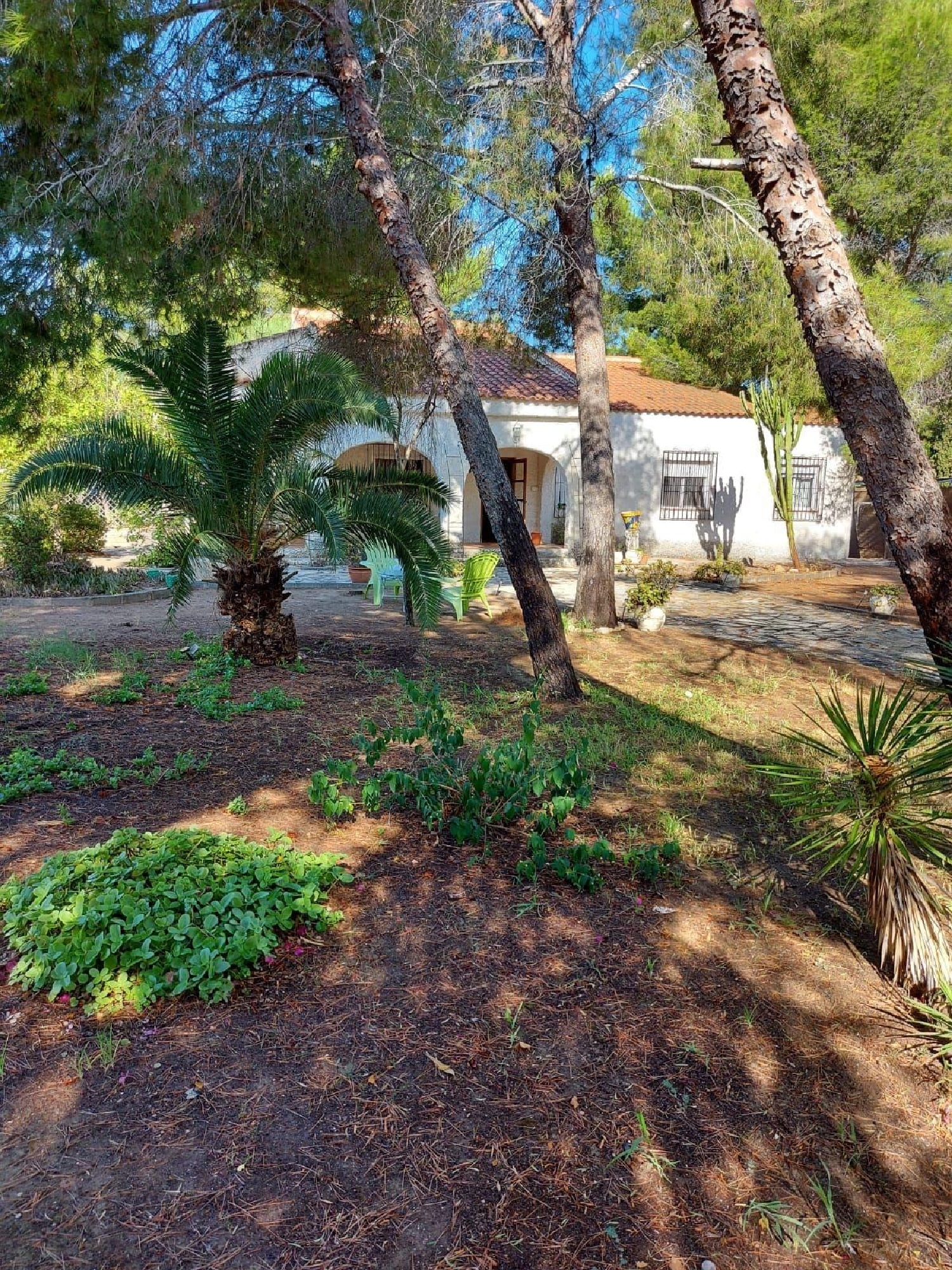  till salu villa Pliego Río Mula 5