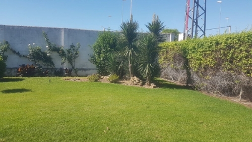 Polígono Guadalquivir Córdoba villa foto 6235968