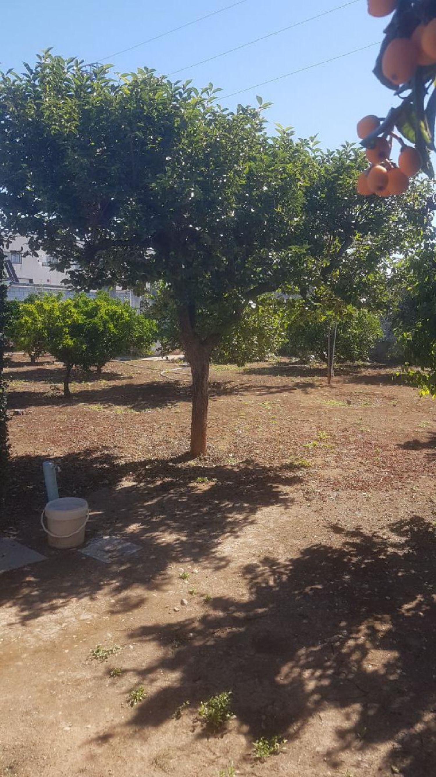  till salu villa Polígono Guadalquivir Córdoba 5