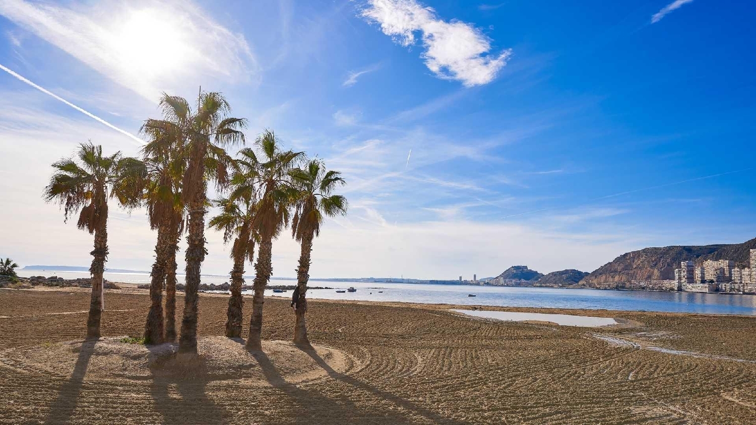  till salu villa Rambla Del Rollet Alacantí 8