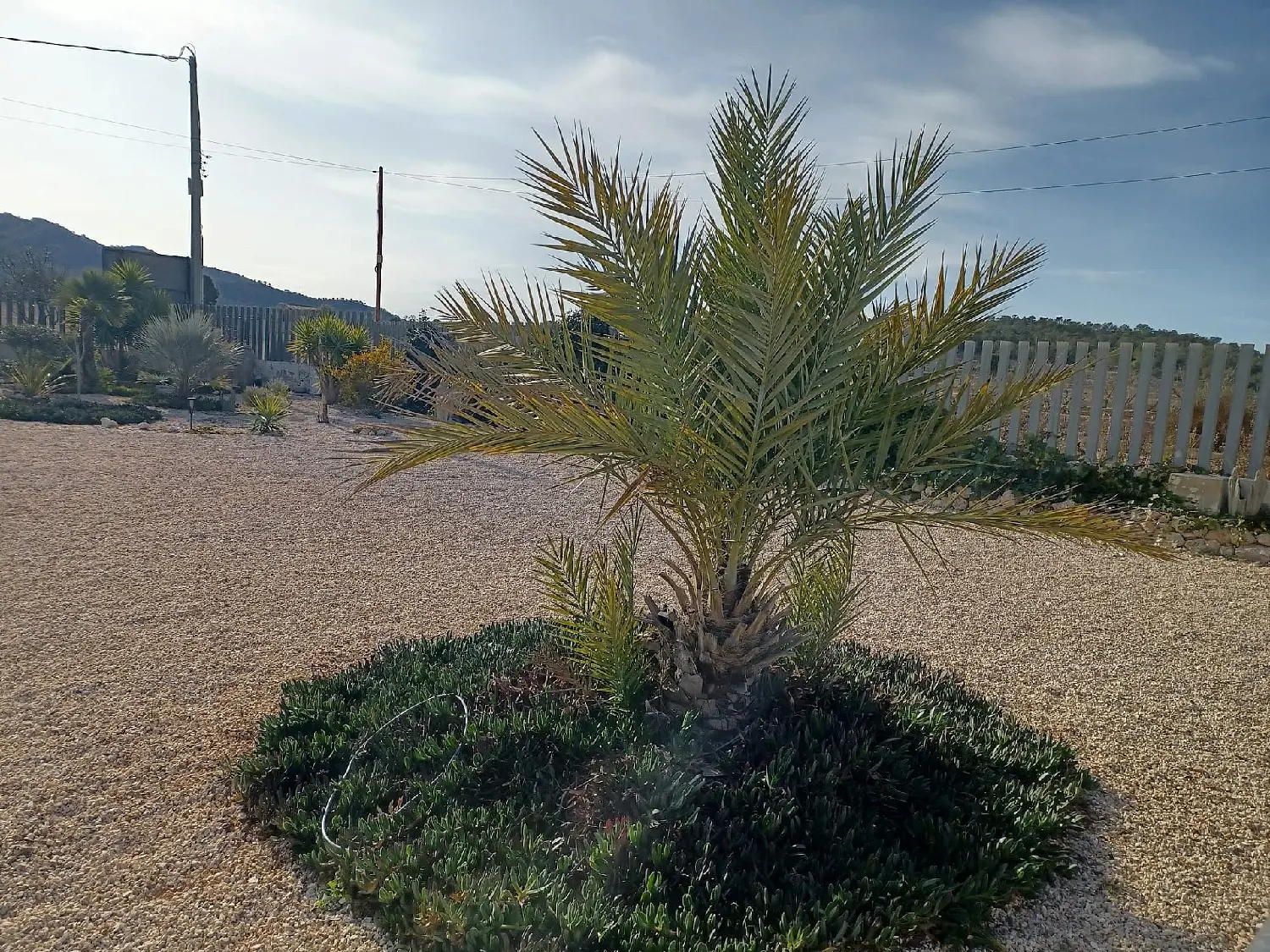  till salu villa Torreblanca Campo De Cartagena 12