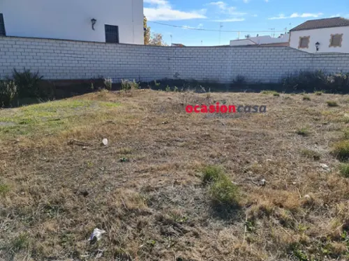 Daya Vieja Baix Segura villa foto 6199127
