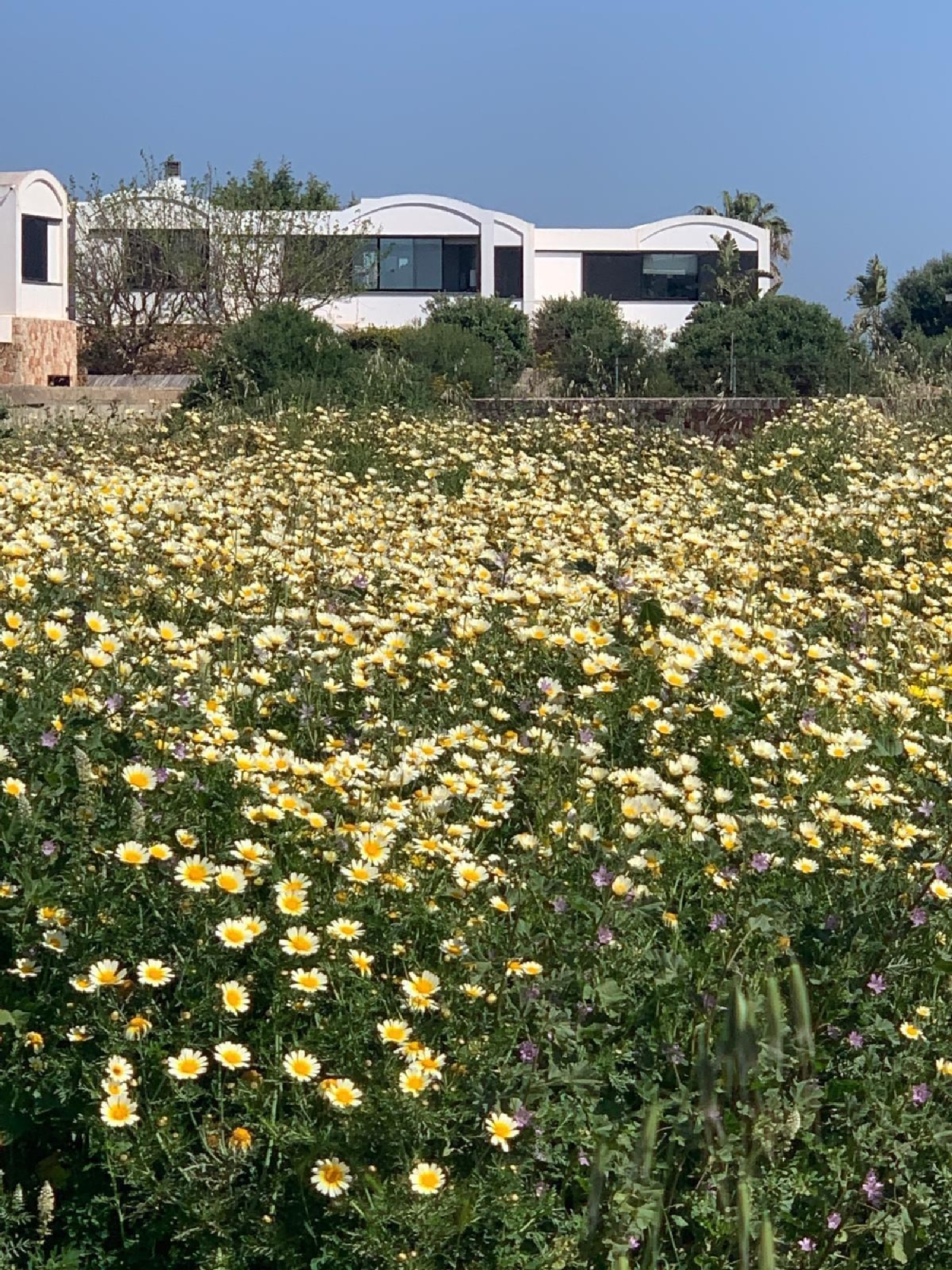  till salu villa Sa Caleta Ciudadella De Menorca 6