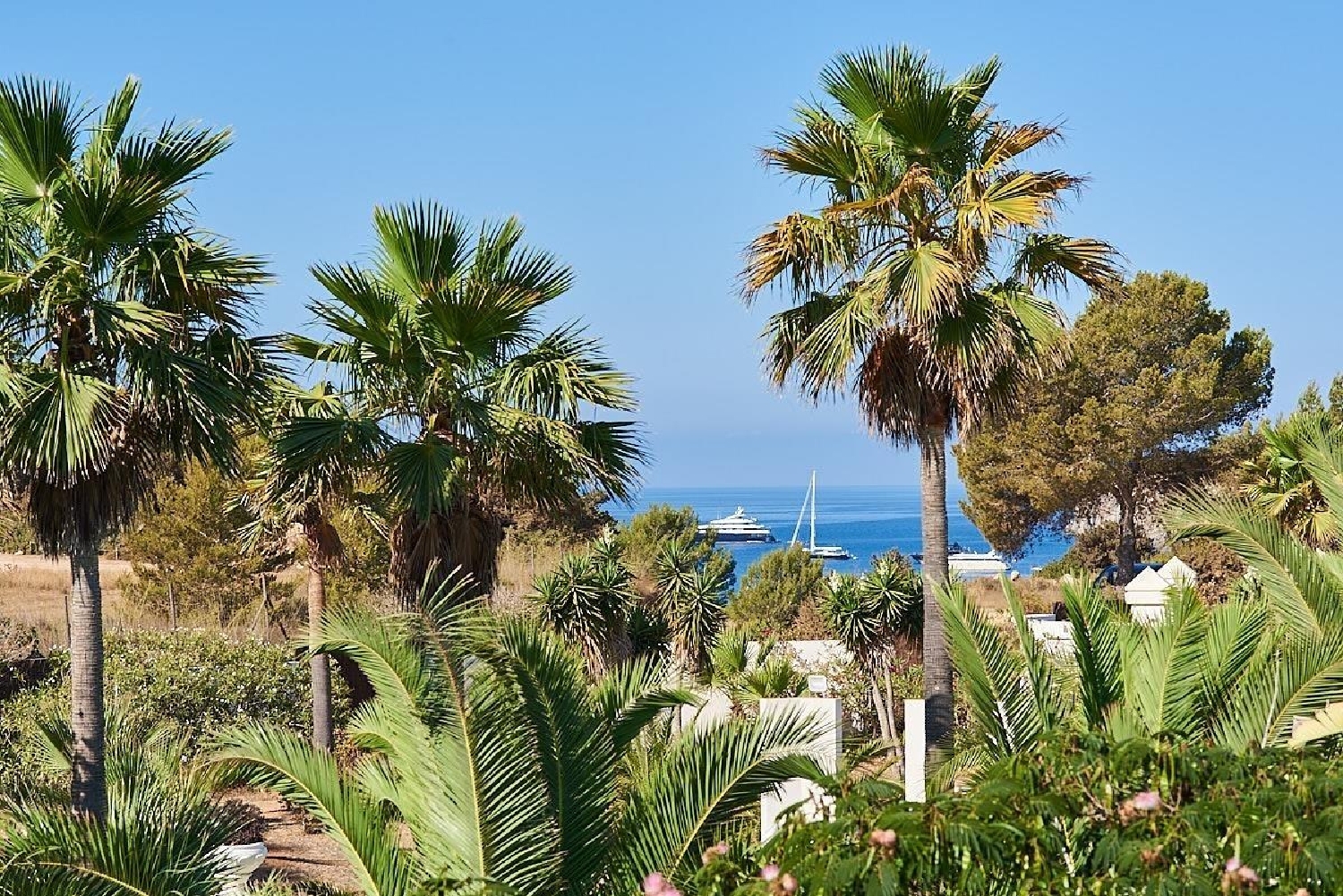  à vendre villa Sa Carroca Sant Josep De Sa Talaia 3