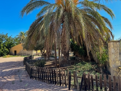 San Isidro Baix Segura villa foto 6233864
