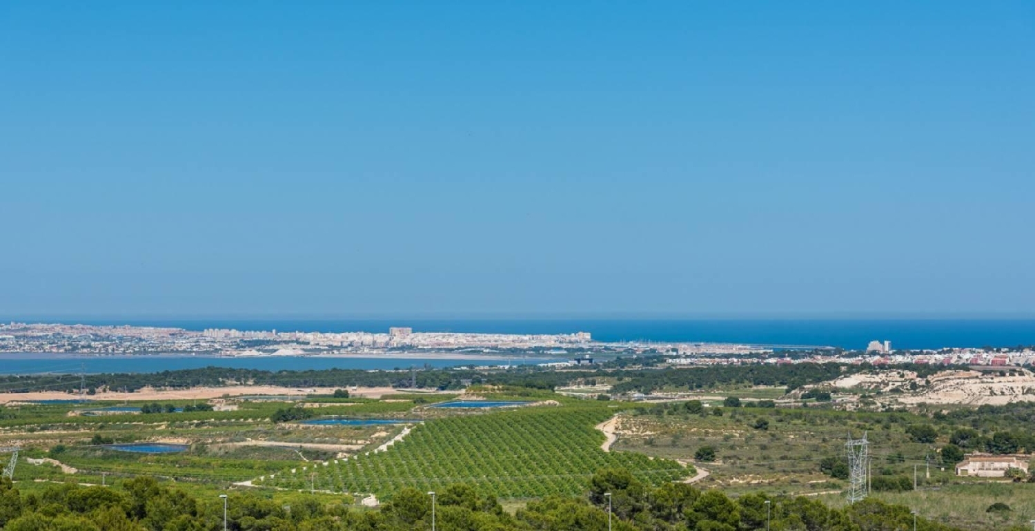  till salu villa San Miguel De Salinas Baix Segura 3