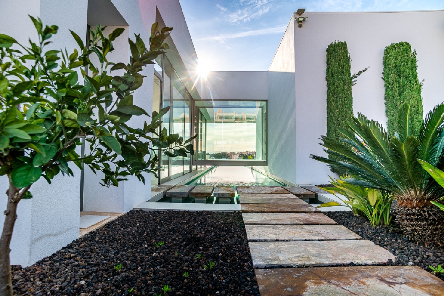  till salu villa San Miguel De Salinas Baix Segura 5