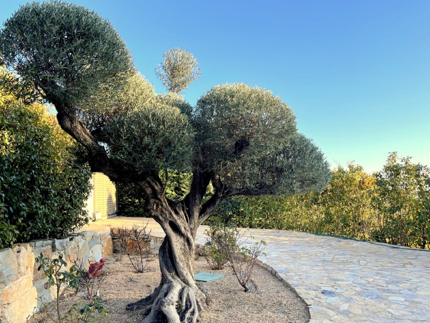  till salu villa Sant Eloi Selva 4